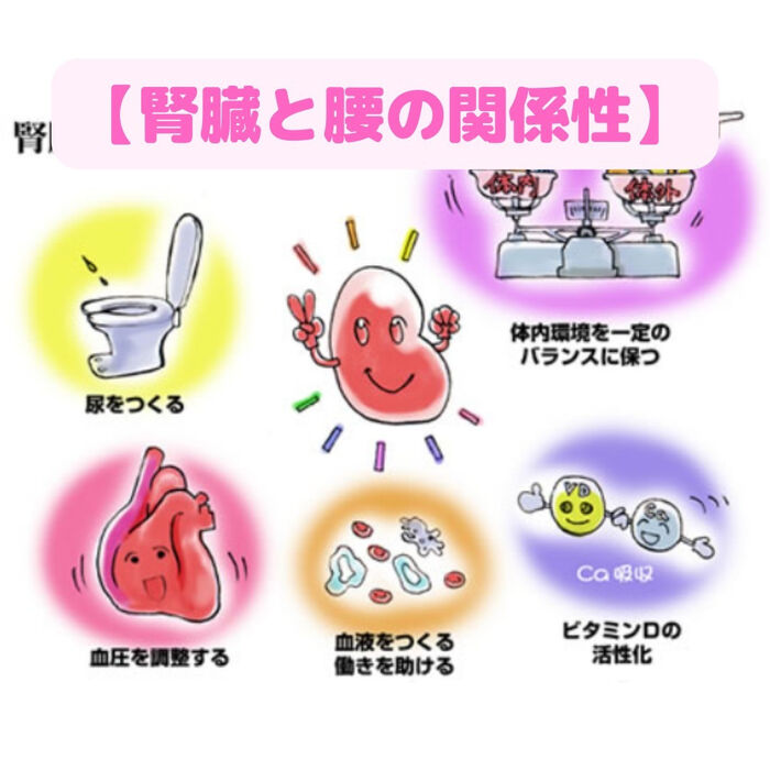 画像1535