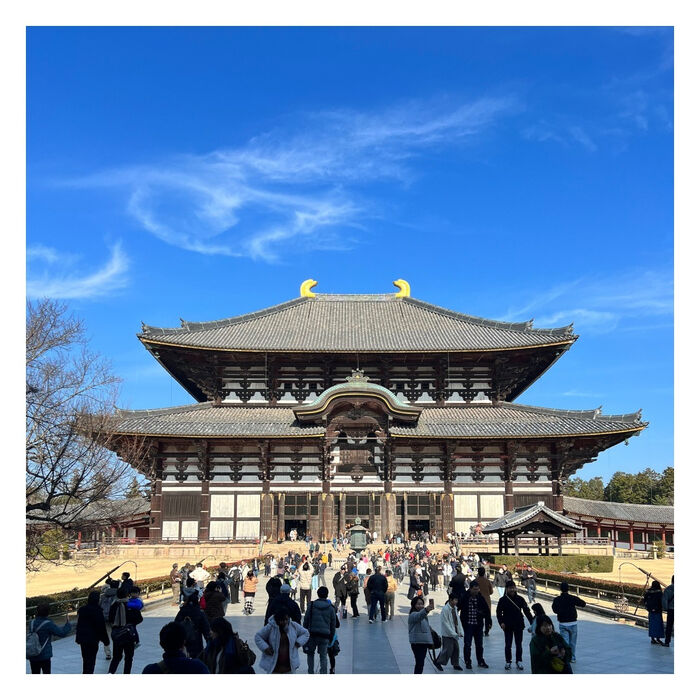 画像1777