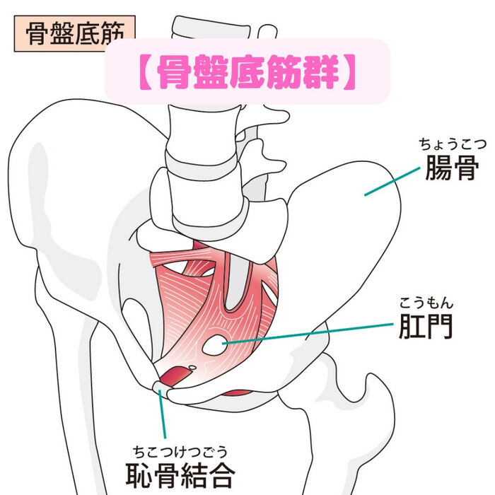 画像1809