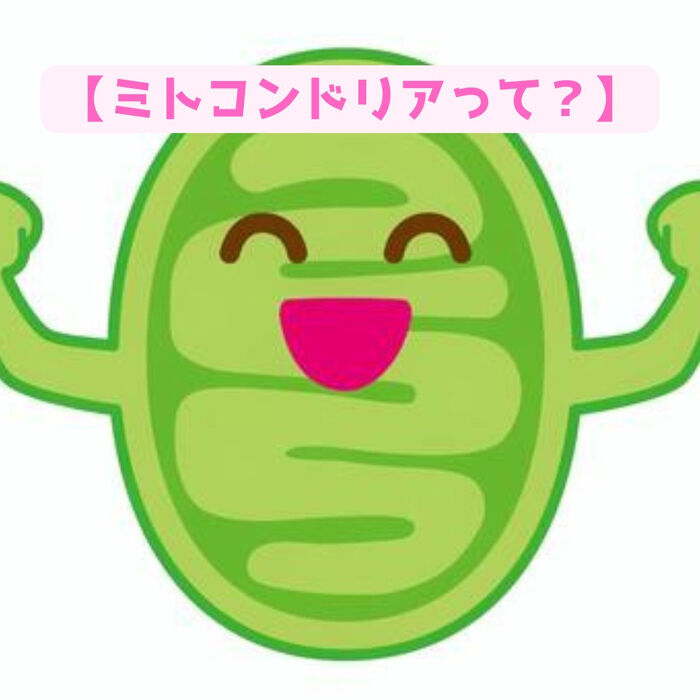 画像2024