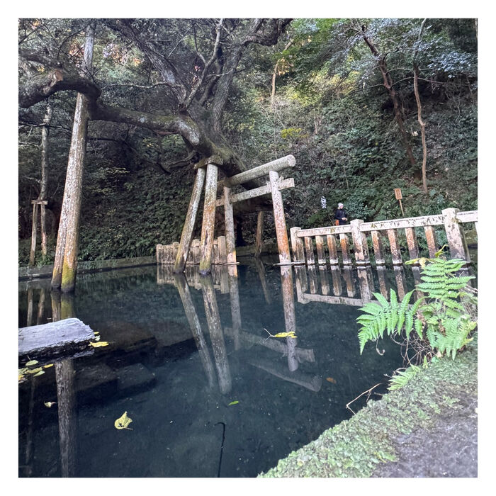 画像2126