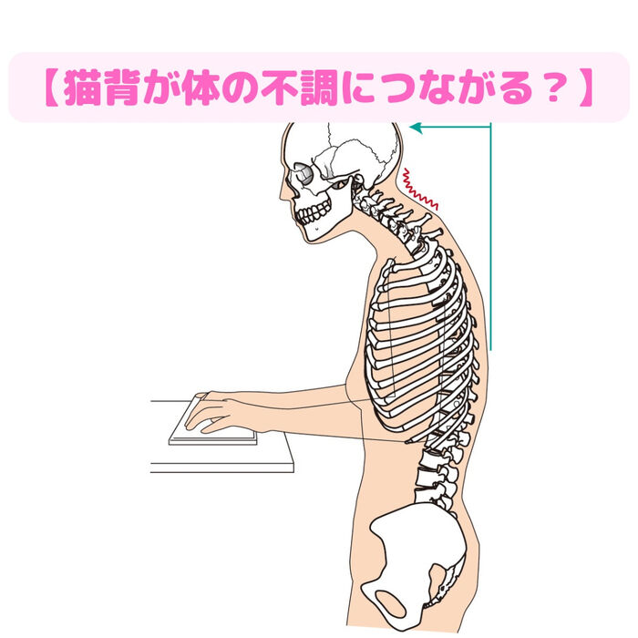 画像2485