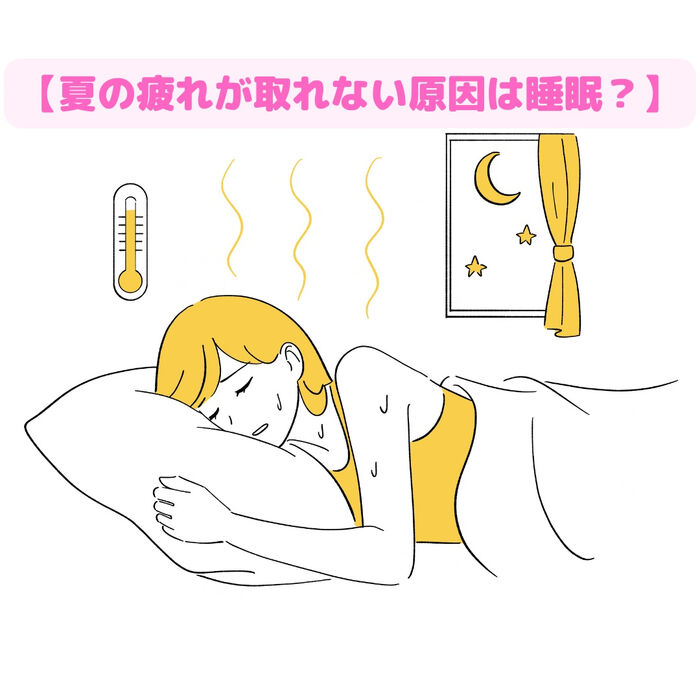 画像2545