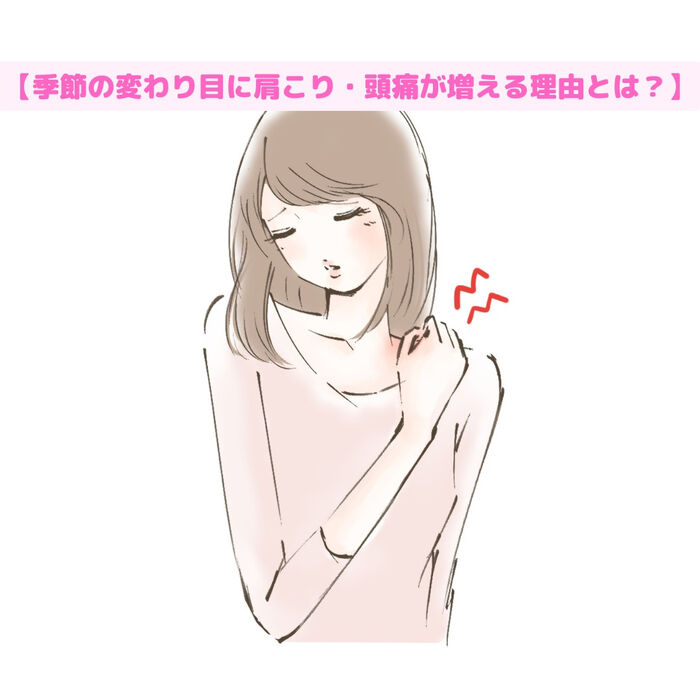 画像2557